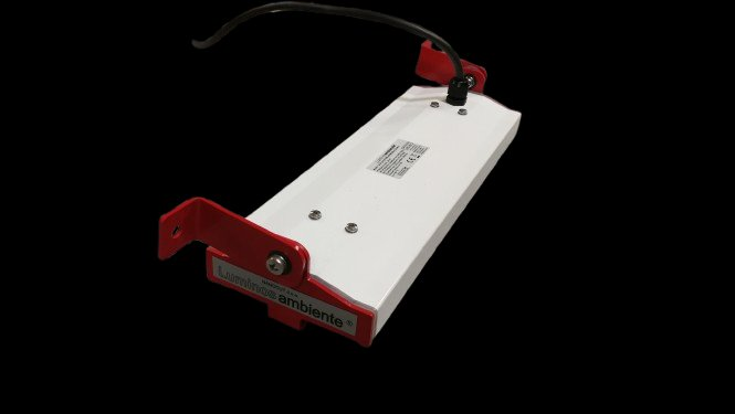 NPP backup power variant — rear